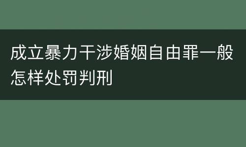 成立暴力干涉婚姻自由罪一般怎样处罚判刑