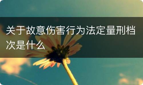 关于故意伤害行为法定量刑档次是什么
