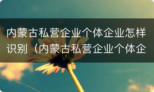 内蒙古私营企业个体企业怎样识别（内蒙古私营企业个体企业怎样识别真假）