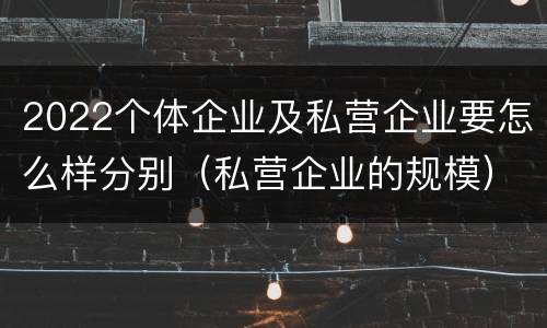 2022个体企业及私营企业要怎么样分别（私营企业的规模）