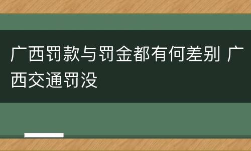 广西罚款与罚金都有何差别 广西交通罚没