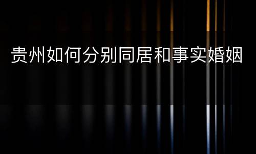 贵州如何分别同居和事实婚姻