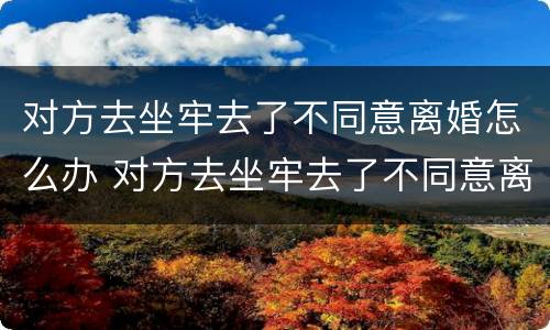 对方去坐牢去了不同意离婚怎么办 对方去坐牢去了不同意离婚怎么办呢