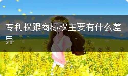 专利权跟商标权主要有什么差异