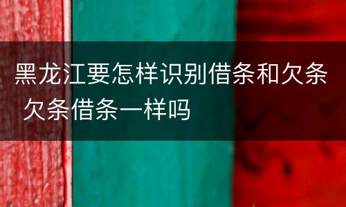 黑龙江要怎样识别借条和欠条 欠条借条一样吗