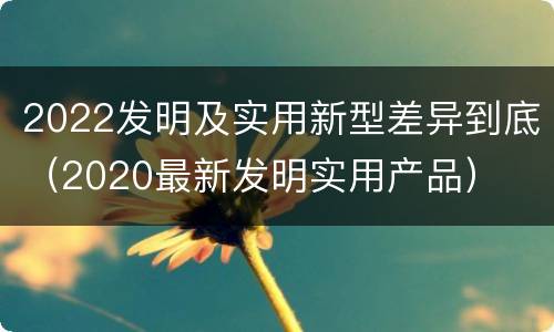 2022发明及实用新型差异到底（2020最新发明实用产品）