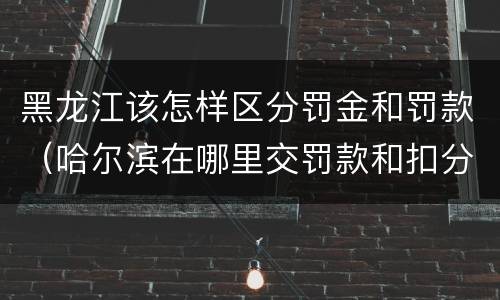 黑龙江该怎样区分罚金和罚款（哈尔滨在哪里交罚款和扣分）