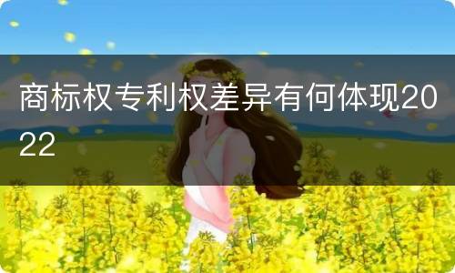 商标权专利权差异有何体现2022