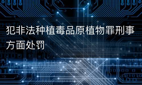 犯非法种植毒品原植物罪刑事方面处罚