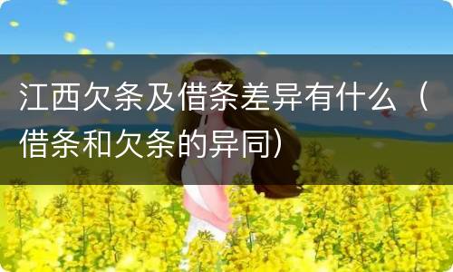 江西欠条及借条差异有什么（借条和欠条的异同）