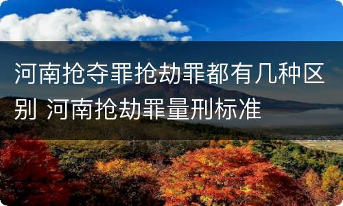 河南抢夺罪抢劫罪都有几种区别 河南抢劫罪量刑标准