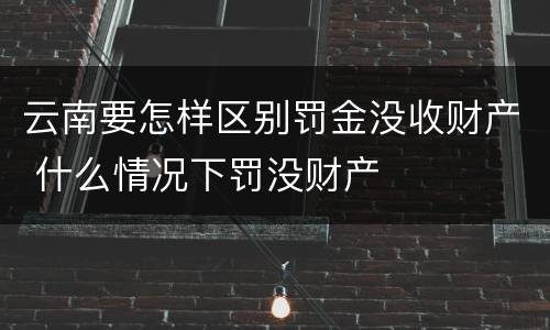 云南要怎样区别罚金没收财产 什么情况下罚没财产