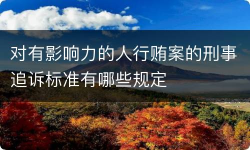 对有影响力的人行贿案的刑事追诉标准有哪些规定