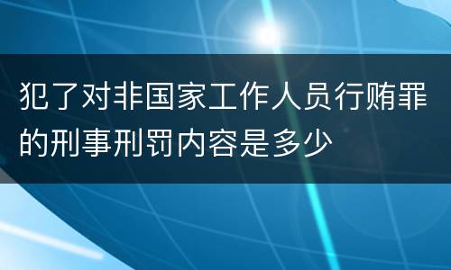 犯了对非国家工作人员行贿罪的刑事刑罚内容是多少