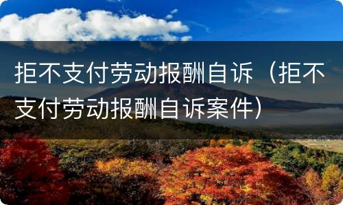 拒不支付劳动报酬自诉（拒不支付劳动报酬自诉案件）