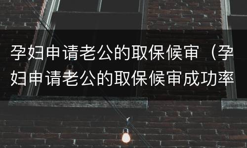 孕妇申请老公的取保候审（孕妇申请老公的取保候审成功率高吗）