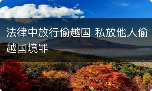 法律中放行偷越国 私放他人偷越国境罪