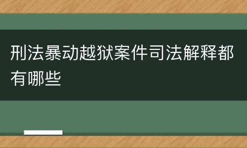 刑法暴动越狱案件司法解释都有哪些