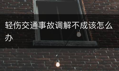 轻伤交通事故调解不成该怎么办