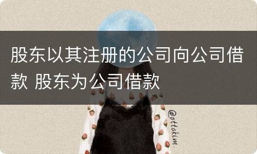股东以其注册的公司向公司借款 股东为公司借款