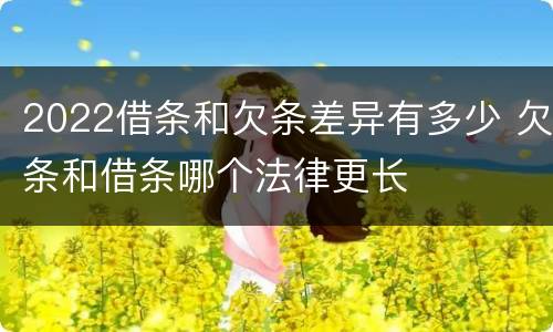 2022借条和欠条差异有多少 欠条和借条哪个法律更长