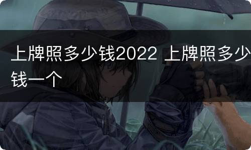 上牌照多少钱2022 上牌照多少钱一个