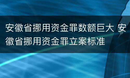 安徽省挪用资金罪数额巨大 安徽省挪用资金罪立案标准