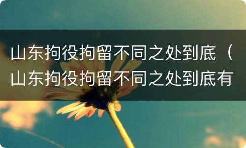 山东拘役拘留不同之处到底（山东拘役拘留不同之处到底有多严重）