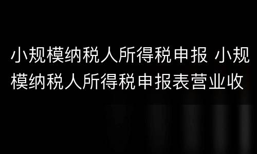 小规模纳税人所得税申报 小规模纳税人所得税申报表营业收入