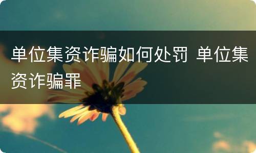 单位集资诈骗如何处罚 单位集资诈骗罪
