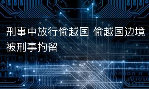 刑事中放行偷越国 偷越国边境被刑事拘留