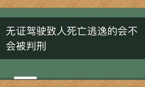 无证驾驶致人死亡逃逸的会不会被判刑
