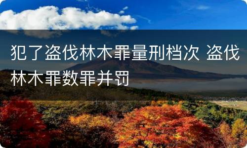 犯了盗伐林木罪量刑档次 盗伐林木罪数罪并罚