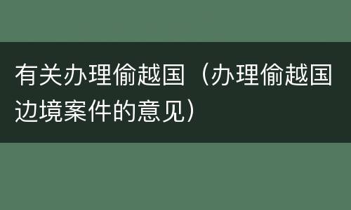 有关办理偷越国（办理偷越国边境案件的意见）