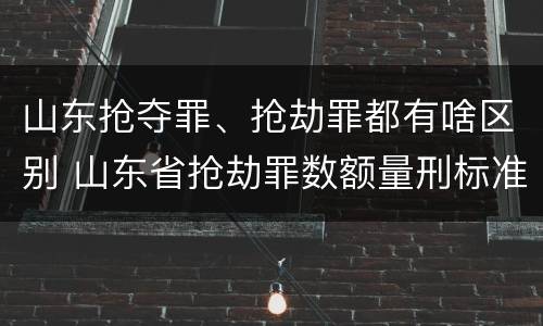 山东抢夺罪、抢劫罪都有啥区别 山东省抢劫罪数额量刑标准