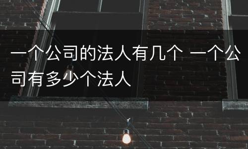一个公司的法人有几个 一个公司有多少个法人