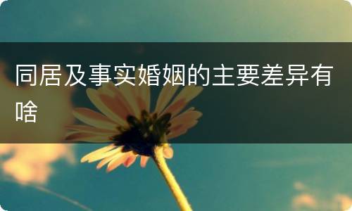 同居及事实婚姻的主要差异有啥