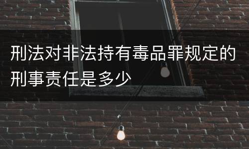 刑法对非法持有毒品罪规定的刑事责任是多少