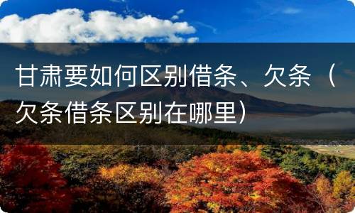 甘肃要如何区别借条、欠条（欠条借条区别在哪里）