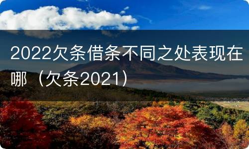 2022欠条借条不同之处表现在哪（欠条2021）