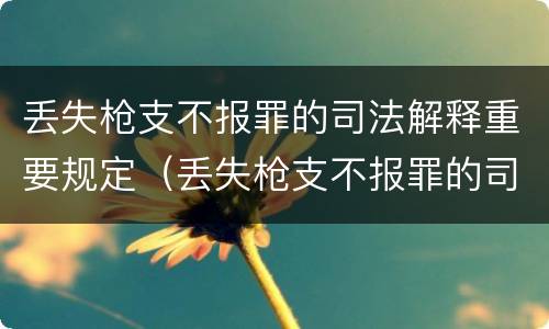 丢失枪支不报罪的司法解释重要规定（丢失枪支不报罪的司法解释重要规定是什么）