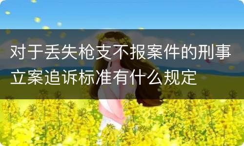 对于丢失枪支不报案件的刑事立案追诉标准有什么规定