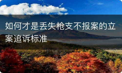如何才是丢失枪支不报案的立案追诉标准