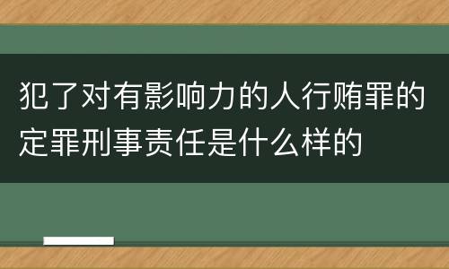 犯了对有影响力的人行贿罪的定罪刑事责任是什么样的