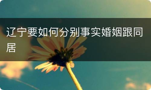 辽宁要如何分别事实婚姻跟同居