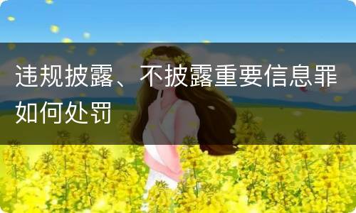 违规披露、不披露重要信息罪如何处罚