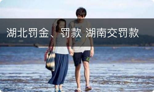 湖北罚金、罚款 湖南交罚款