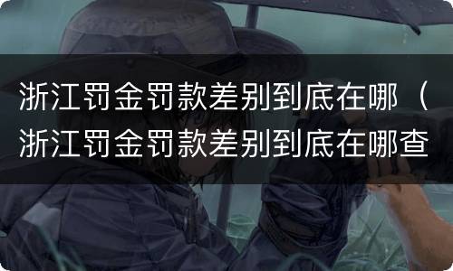 浙江罚金罚款差别到底在哪（浙江罚金罚款差别到底在哪查）