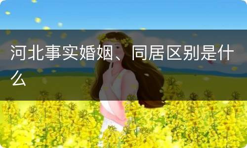 河北事实婚姻、同居区别是什么