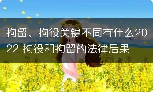 拘留、拘役关键不同有什么2022 拘役和拘留的法律后果